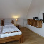 Fischerhus